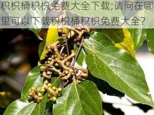 积枳桶积枳免费大全下载;请问在哪里可以下载积枳桶积枳免费大全？