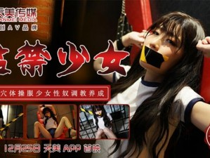 BDSm女犯奴役视频网站 BDSm 女犯奴役视频网站是否合法？