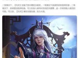 关于少年三国志魏国毒士司马懿与贾诩的强强联合推荐策略分析