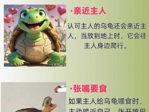 乌龟节奏的深思：慢行背后的智慧与价值