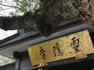 江湖古寺盗案揭秘：厌胜老祖失落之谜探寻记