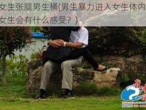 女生张腿男生桶(男生暴力进入女生体内，女生会有什么感受？)