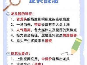 龙战新手秘籍：从零开始征服新手之旅的攻略指南