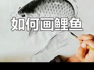 鲤鱼吸水的正确姿势视频教程、鲤鱼吸水的正确姿势视频教程：轻松学会水中呼吸技巧