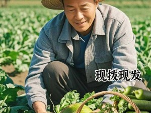 免费观看萝卜大全电视剧—免费观看萝卜大全电视剧，尽在这里