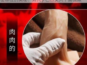 男人ji巴日女人下面视频—探索男人与女人私密部位的奥秘：男人 ji 巴日女人下面视频