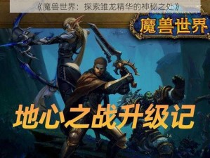 《魔兽世界：探索雏龙精华的神秘之处》