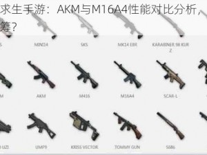 绝地求生手游：AKM与M16A4性能对比分析，谁更胜一筹？