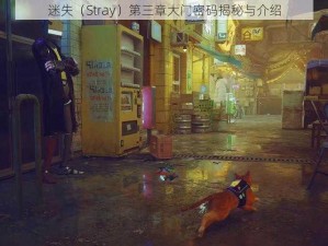 迷失（Stray）第三章大门密码揭秘与介绍