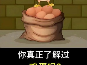 创造与魔法：探索鸡蛋诞生奥秘，揭秘魔法般养殖秘诀