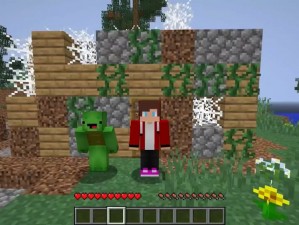 暴躁老外玩minecraft中国;暴躁老外玩 Minecraft 中国：老外竟被中国方块世界逼疯