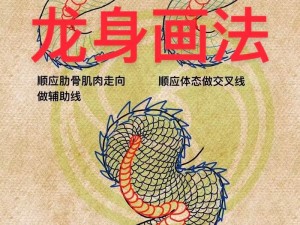 龙鳞绘画法揭秘：从规律解析到实践技巧的全面指南