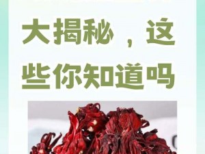 寻找玫瑰茄宝地，开启创造魔法烹饪之旅：玫瑰茄食谱探秘