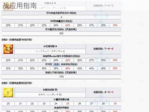FGO机械龙娘技能深度解析：技能效果一览与实战应用指南