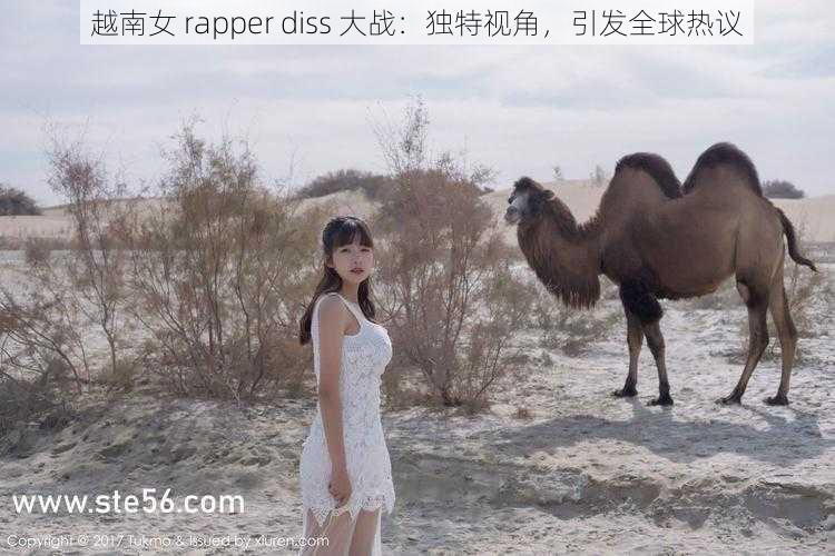 越南女 rapper diss 大战：独特视角，引发全球热议