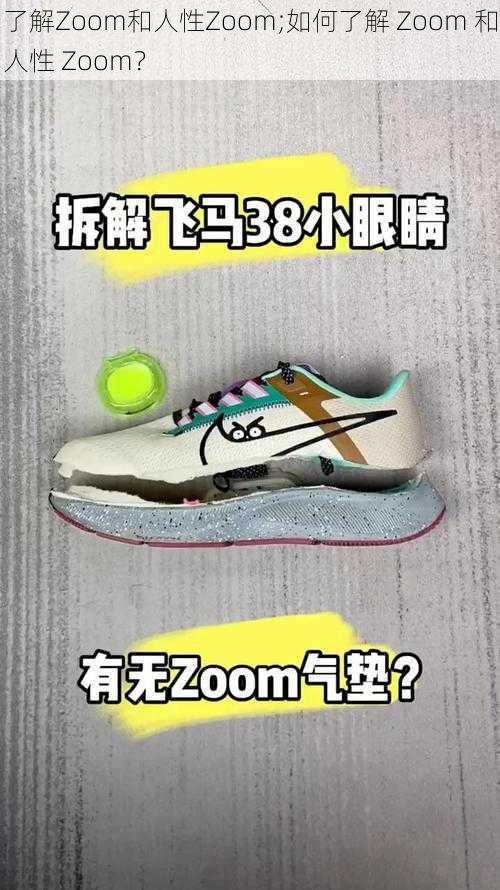 了解Zoom和人性Zoom;如何了解 Zoom 和人性 Zoom？