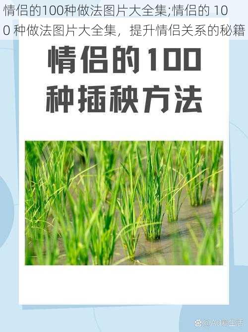 情侣的100种做法图片大全集;情侣的 100 种做法图片大全集，提升情侣关系的秘籍