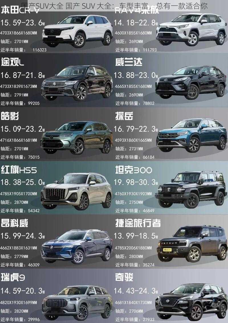 国产SUV大全 国产 SUV 大全：车型丰富，总有一款适合你