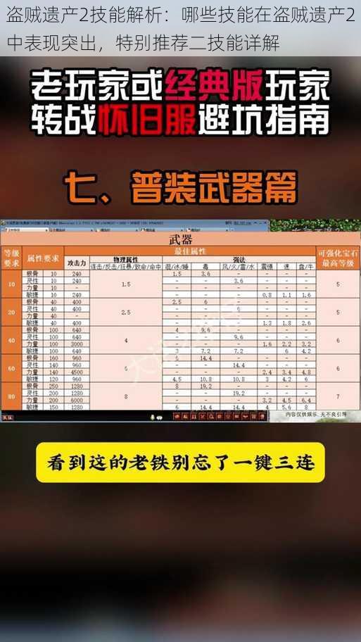 盗贼遗产2技能解析：哪些技能在盗贼遗产2中表现突出，特别推荐二技能详解