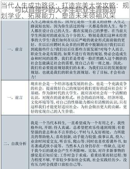 当代人生成功路径：打造完美大学攻略：规划学业、拓展能力、塑造未来领袖风采