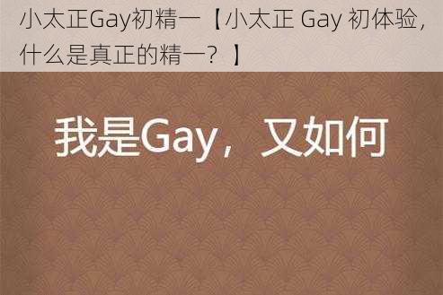 小太正Gay初精一【小太正 Gay 初体验，什么是真正的精一？】