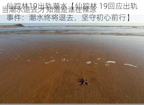 仙踪林19出轨潮水【仙踪林 19回应出轨事件：潮水终将退去，坚守初心前行】