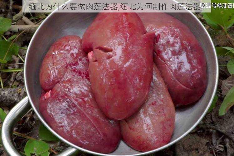 缅北为什么要做肉莲法器,缅北为何制作肉莲法器？