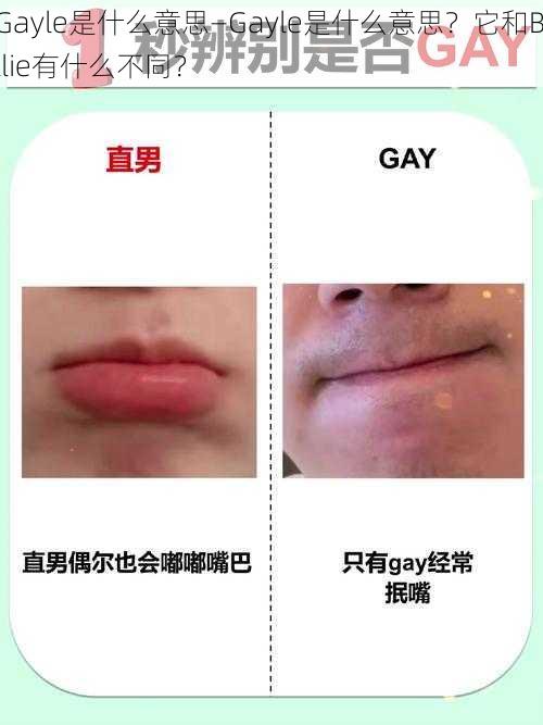 Gayle是什么意思—Gayle是什么意思？它和Billie有什么不同？