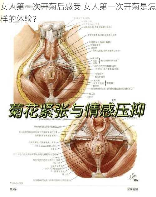 女人第一次开菊后感受 女人第一次开菊是怎样的体验？