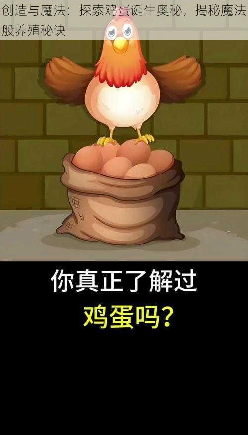 创造与魔法：探索鸡蛋诞生奥秘，揭秘魔法般养殖秘诀