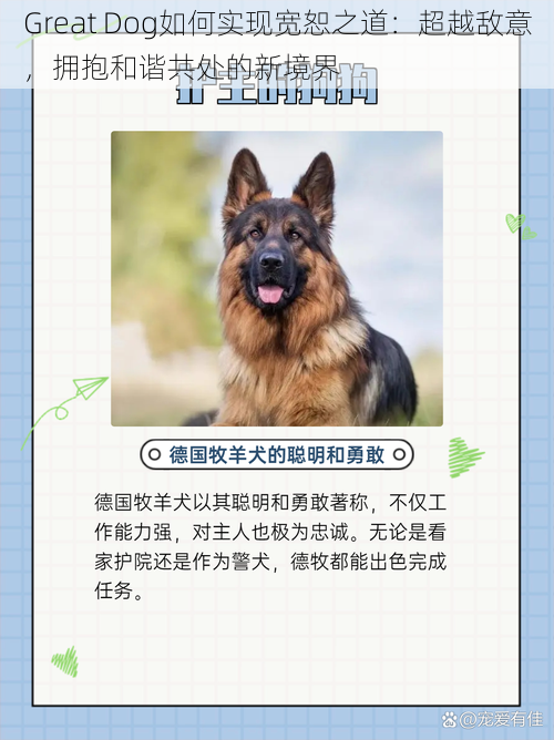 Great Dog如何实现宽恕之道：超越敌意，拥抱和谐共处的新境界