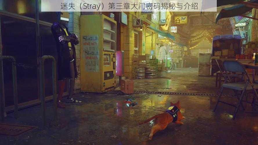 迷失（Stray）第三章大门密码揭秘与介绍