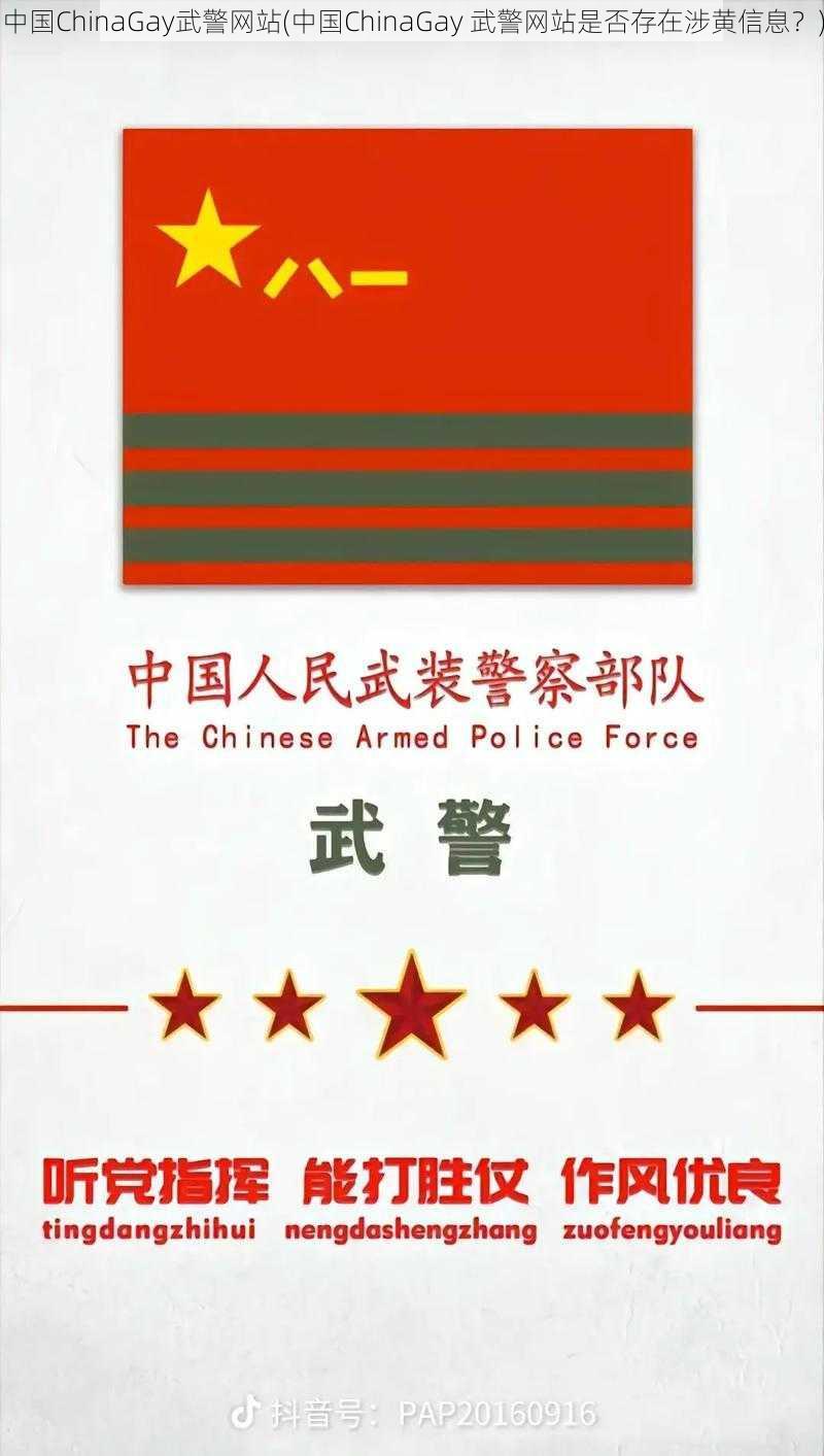 中国ChinaGay武警网站(中国ChinaGay 武警网站是否存在涉黄信息？)