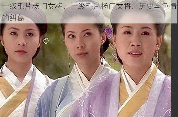 一级毛片杨门女将、一级毛片杨门女将：历史与色情的纠葛