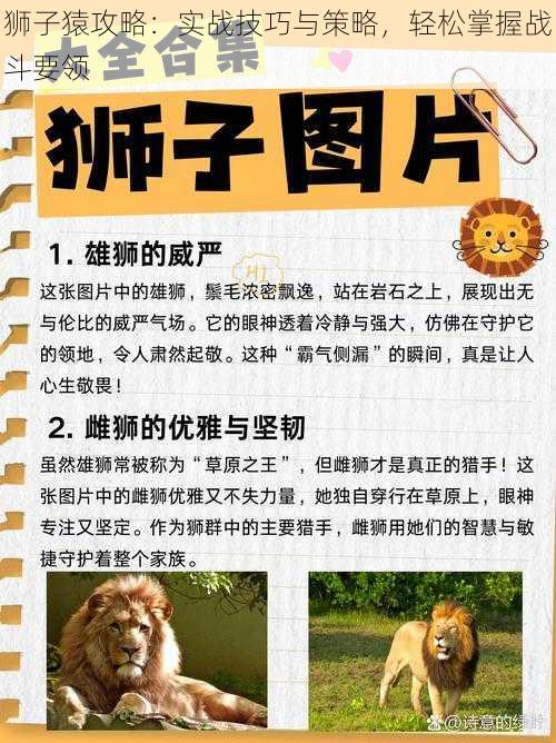 狮子猿攻略：实战技巧与策略，轻松掌握战斗要领