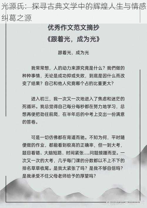 光源氏：探寻古典文学中的辉煌人生与情感纠葛之源