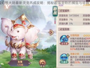 三国幻想大陆最新灵宠养成攻略：揭秘超强宠物的捕捉与培育方法