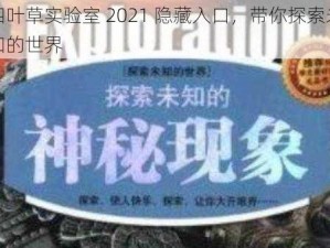 四叶草实验室 2021 隐藏入口，带你探索未知的世界