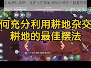 创造与魔法耕地玩法攻略：发掘优质耕地 玩转种植艺术智慧引领高效耕作之道