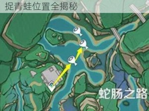 原神：探索青蛙捕捉地点指南——捕捉青蛙位置全揭秘