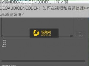 J啊v啊vIDEOAUDIOENCODER、J 啊 v 啊 vIDEOAUDIOENCODER：如何在视频和音频处理中实现高质量编码？