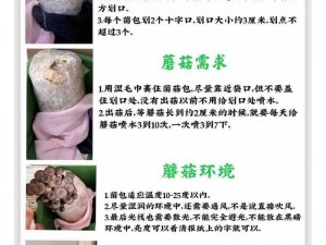 迷你世界蘑菇高效种植秘诀：专家级正确种植法攻略