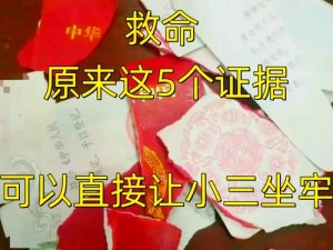 盗窃案核心证据揭秘：关键线索揭示真相之路