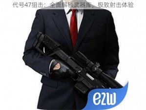 代号47狙击：全面解锁武器库，极致射击体验