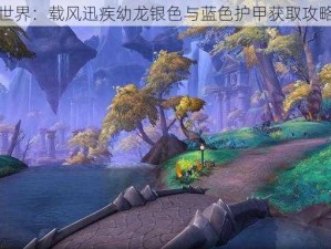 魔兽世界：载风迅疾幼龙银色与蓝色护甲获取攻略揭秘