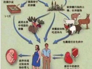 人与畜禽共性、人与畜禽的共性是什么？