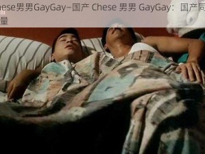 国产Chese男男GayGay—国产 Chese 男男 GayGay：国产同志电影的新力量