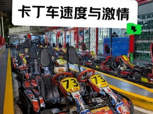 跑跑卡丁车手机版S车全面解析：豪华性能Top 5详探  跑出赛场激情畅快感观测之旅