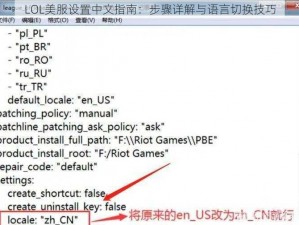 LOL美服设置中文指南：步骤详解与语言切换技巧