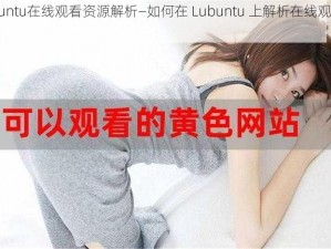 Lubuntu在线观看资源解析—如何在 Lubuntu 上解析在线观看资源？